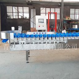 拉缸盐海参重量分级机 料盒式自动重量拣选机 厂家直销